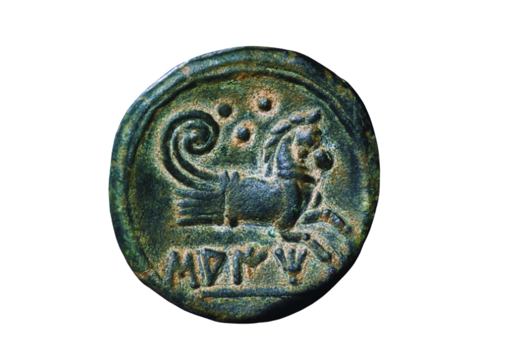 monedeta